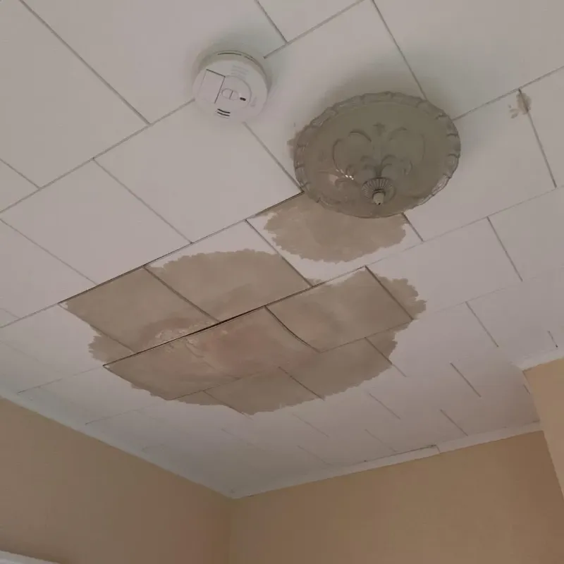 Ceiling Water Damage Repair in Bristol, CT