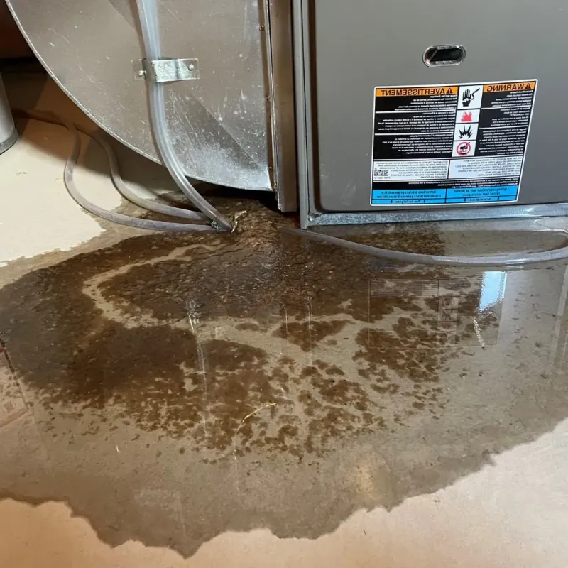 Pipe Burst and Leak Restoration in Bristol, CT