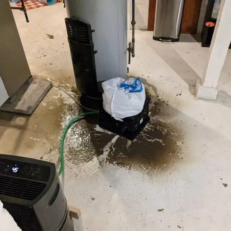 Sewage Backup Cleanup Service in Bristol, CT